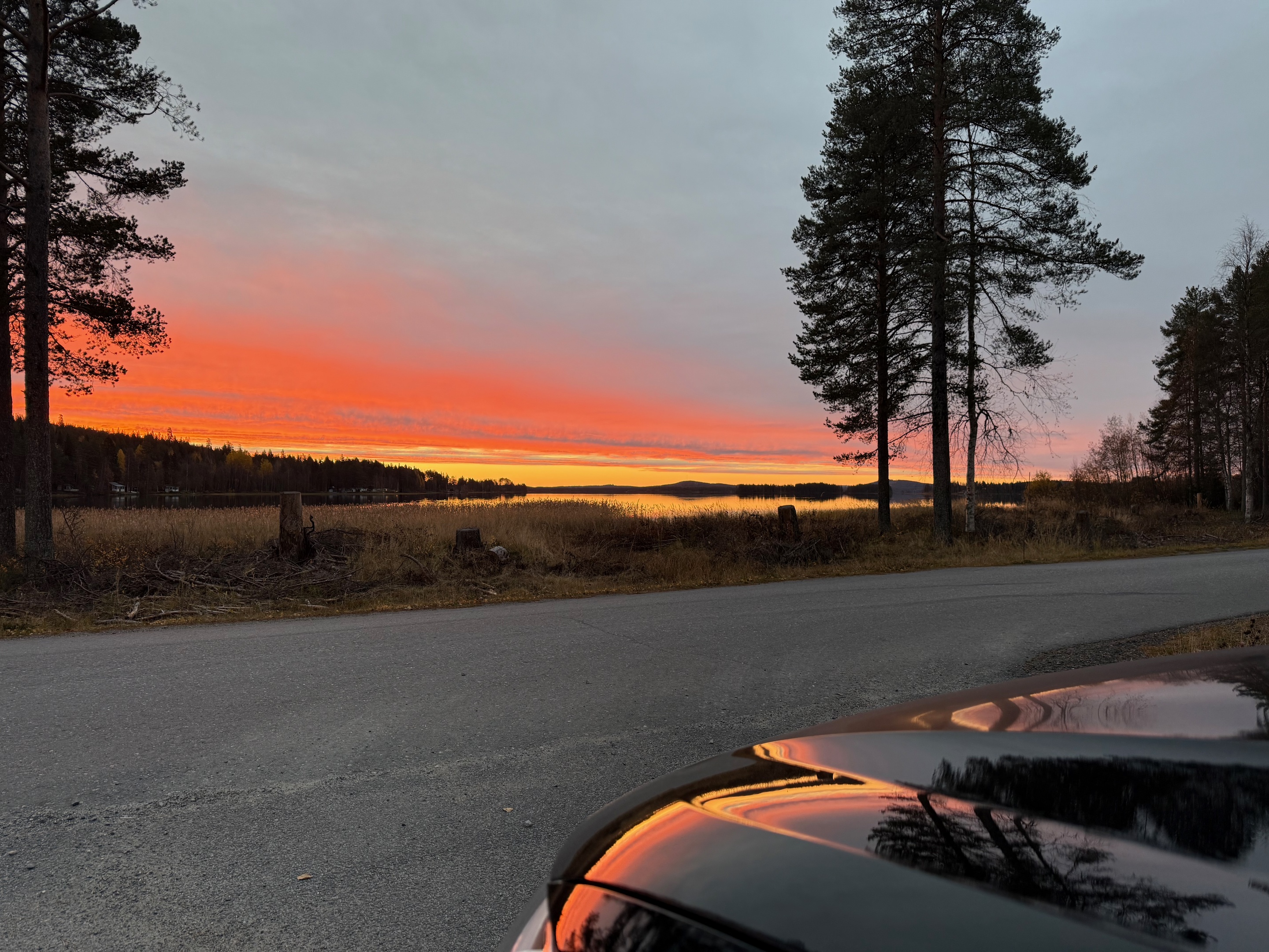 POEM Consult på väg mot nya uppdrag i soluppgången